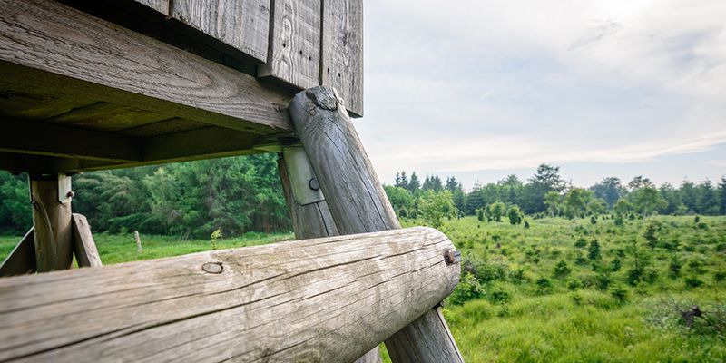 Ministerstwo Środowiska ustala wysokość czynszu dzierżawnego