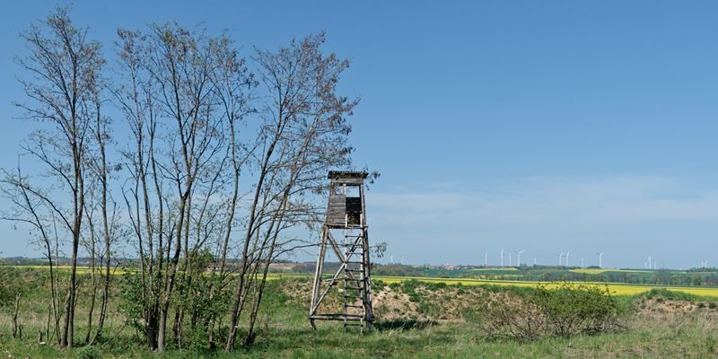 TK rozstrzygnął wniosek KRIR ws. Prawa łowieckiego