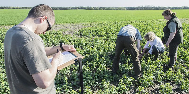 100 zł za szacowanie dla ODR-u