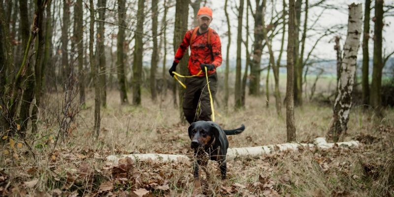 Ważne porozumienie między ZKwP a Polskim Związkiem Łowieckim