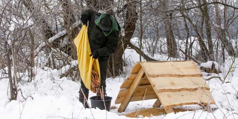 Ekstremalna zima na Podlasiu. Myśliwi i leśnicy ruszyli na pomoc zwierzynie drobnej