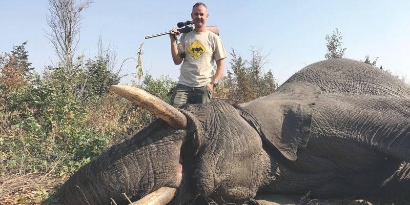 Import trofeów jest pod właściwą kontrolą