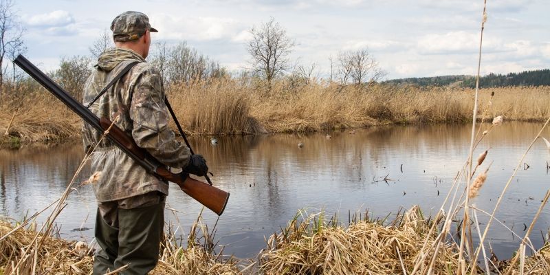 Co ze śrutem ołowianym na obszarach wodno-błotnych?