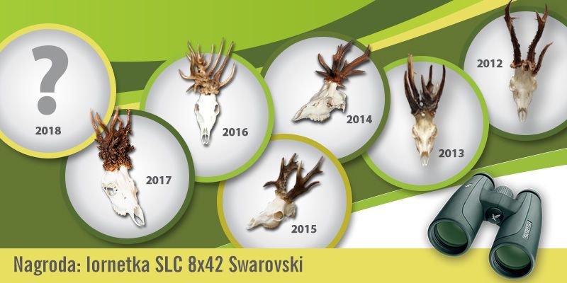 Konkurs na najciekawsze parostki sezonu 2018/2019