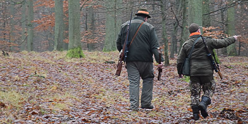 Wzór odpowiedzi na wniosek o informację publiczną