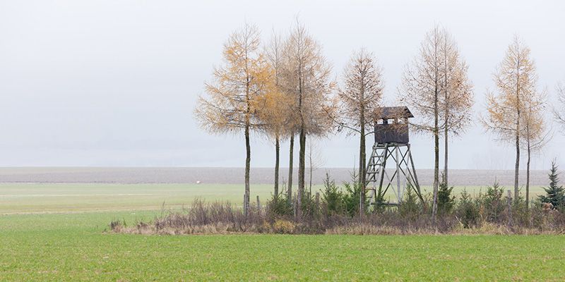 Kategoryzacja obwodów prawie po staremu