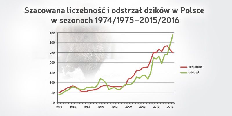 Ukazał się rocznik GUS „Leśnictwo 2016”