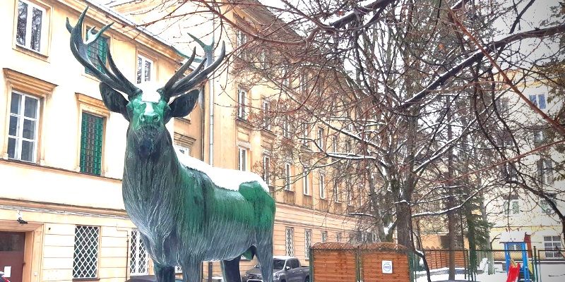 Trwa postępowanie przeciwko byłemu łowczemu krajowemu