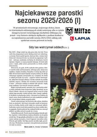 Najciekawsze parostki sezonu 2025/2026 (I)