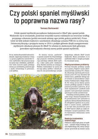 Czy polski spaniel myśliwski to poprawna nazwa rasy?