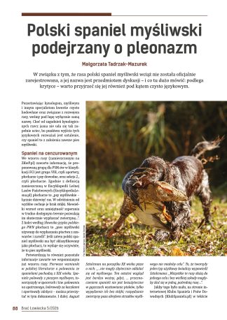 Polski spaniel myśliwski podejrzany o pleonazm