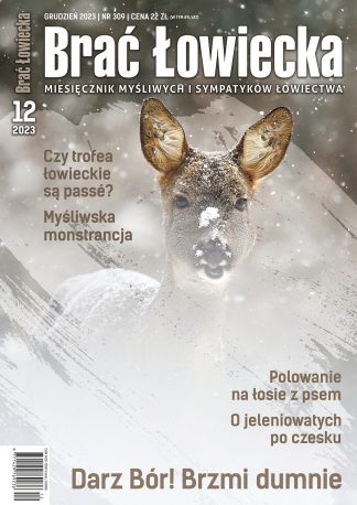 12/2023