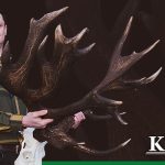 Najcięższy byk sezonu 2025/2026 wyłoniony!