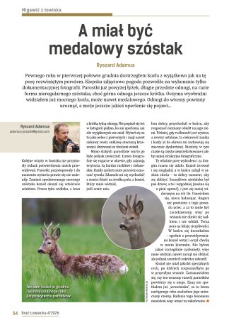 A miał być medalowy szóstak