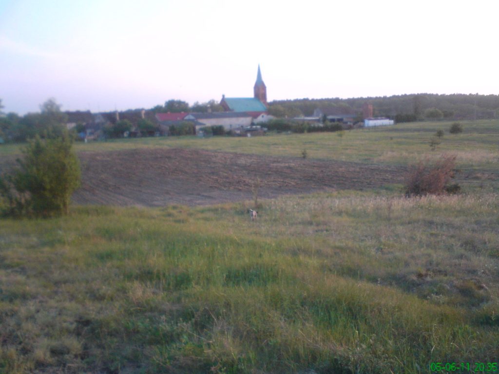 Tu kiedyś były kuropatwy.