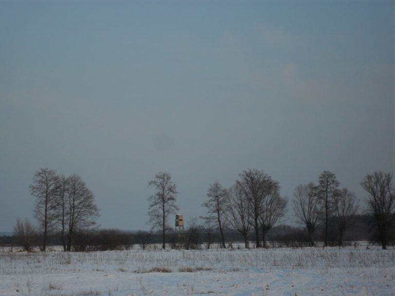 ambona