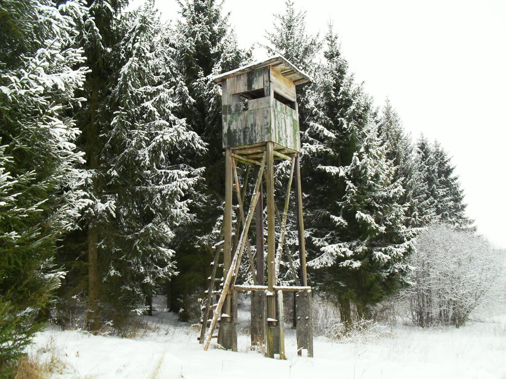 AMBONA ZIMĄ