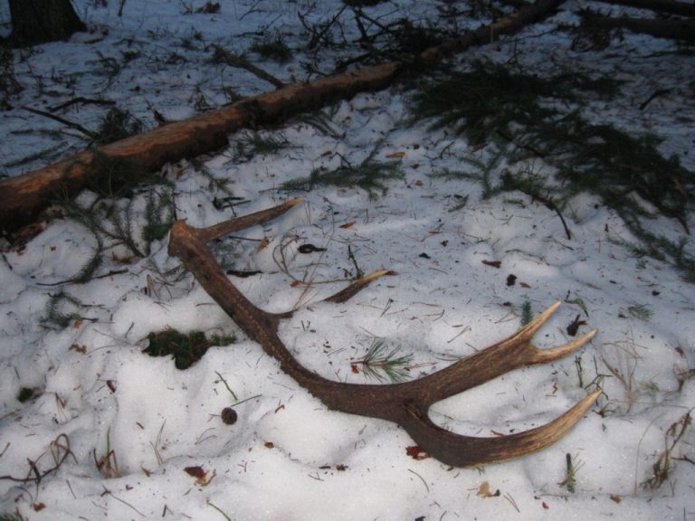 zrzuty 2010