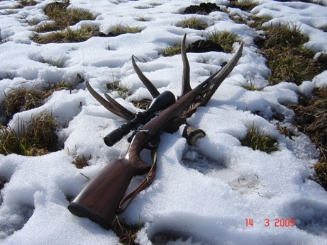 CZ550