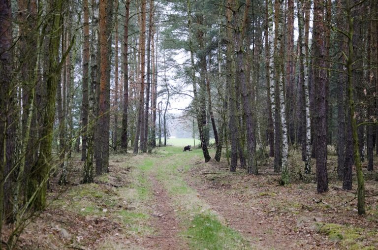 17.45