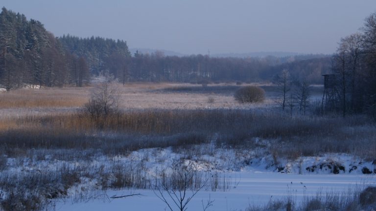 zima