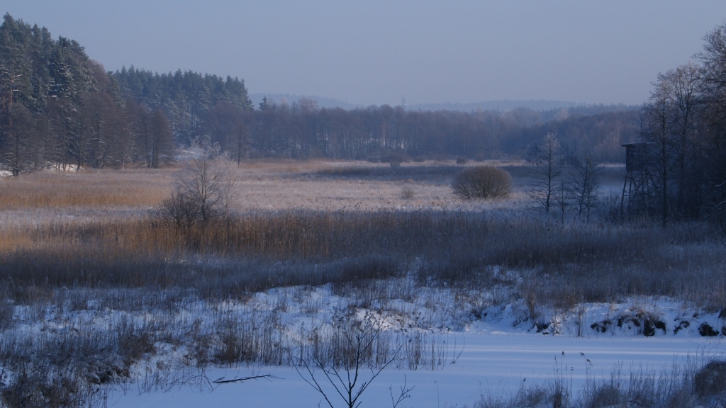 zima