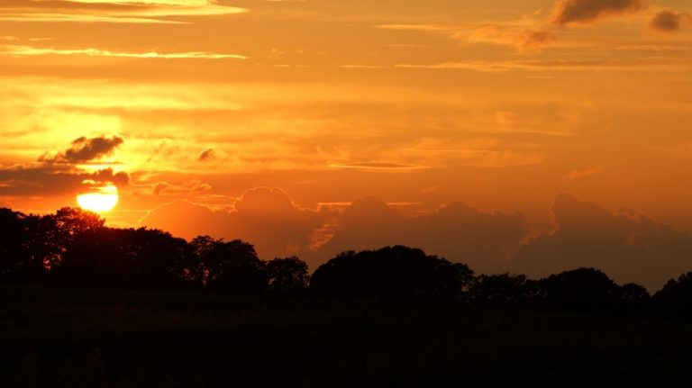 zachod