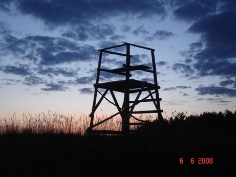 Ambona