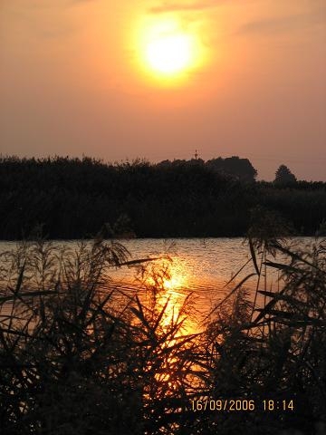 Okolice Jedlińska