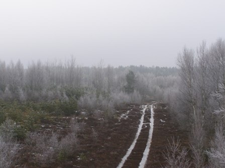 zima