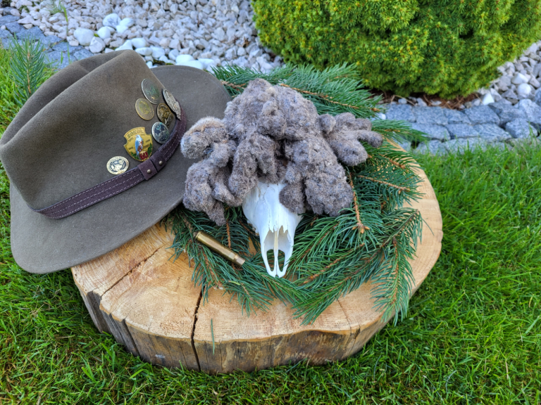 WKŁ „Sokół” w Stawach