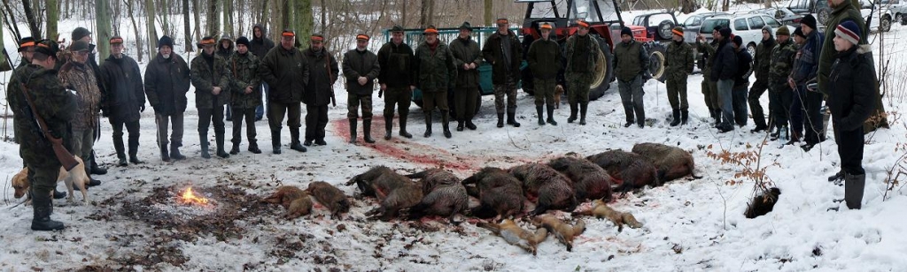 Dość okazały pokot- Goraj 2010r.