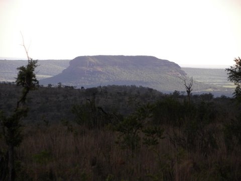 Afryka
