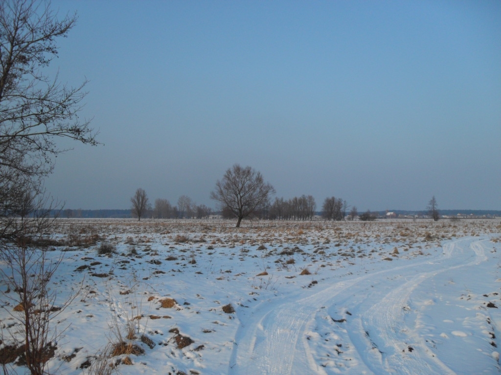 na spacerze