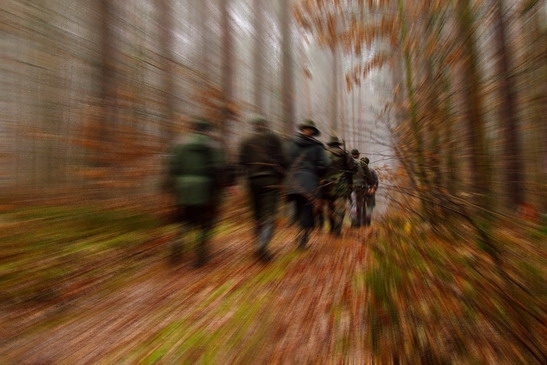 Wędrówka