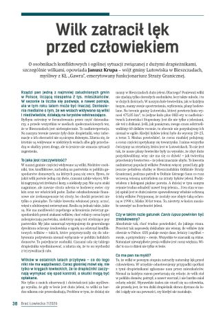 Wilk zatracił lęk przed człowiekiem