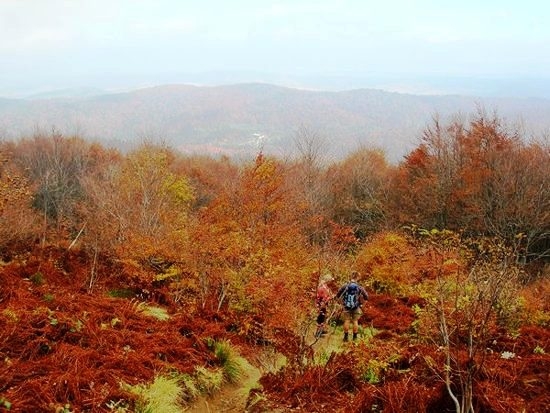 Bieszczady