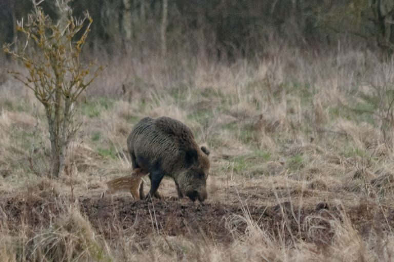 czas na posiłek