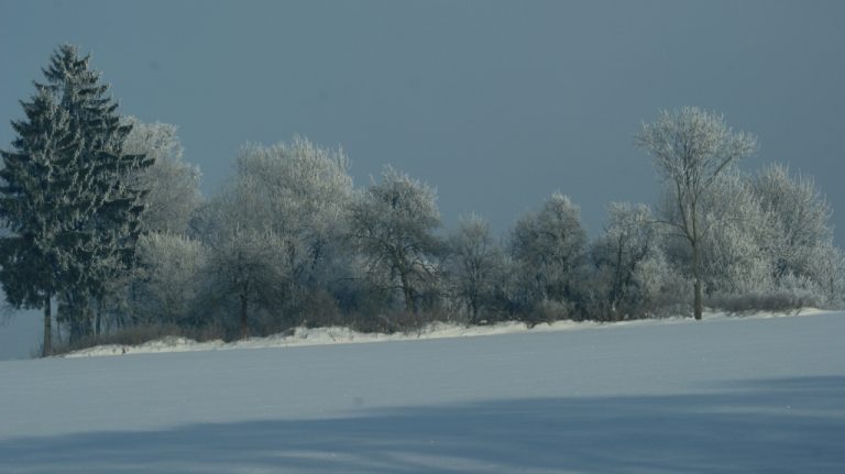 zima