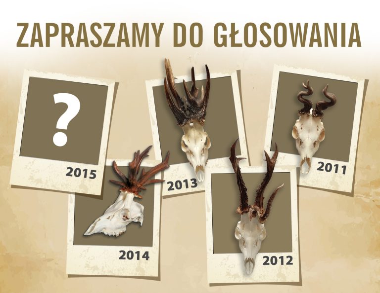 Zapraszamy do głosowania na najciekawsze parostki sezonu 2015/2016