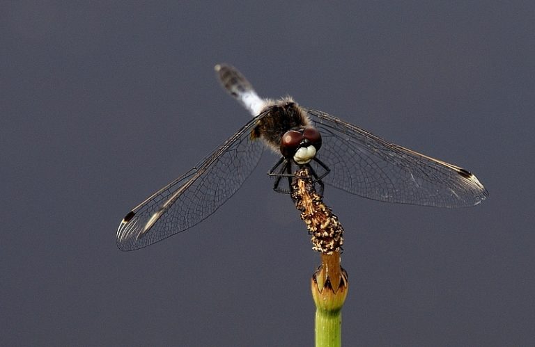 Chwila wytchnienia…