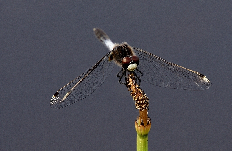 Chwila wytchnienia...
