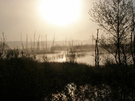 poranek nad rozlewiskiem