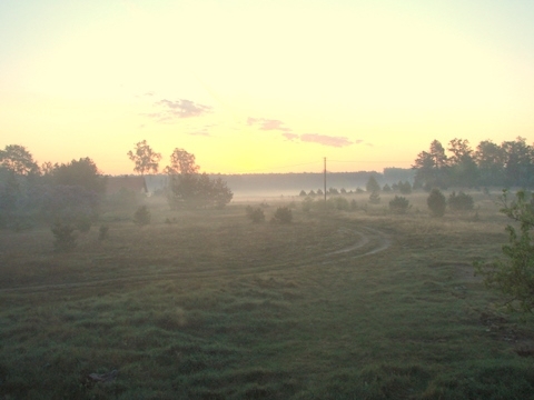 Idzie jesień.