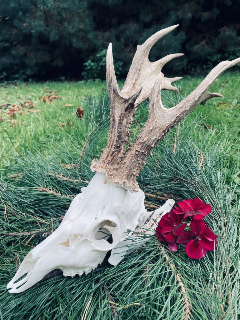 KŁ „Knieja” w Zabrzegu