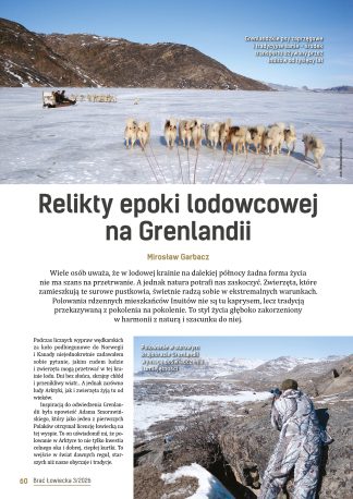 Relikty epoki lodowcowej na Grenlandii