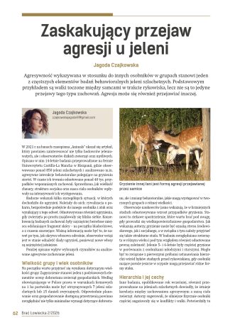 Zaskakujący przejaw agresji u jeleni