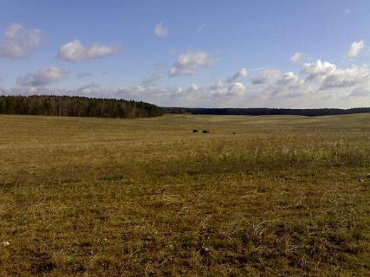 Ucieczka