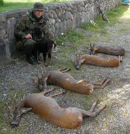 rogacze 2008