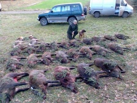 ,,Pokot,,